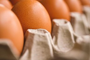 Groźne bakterie wykryte na jajach. Jest komunikat GIS