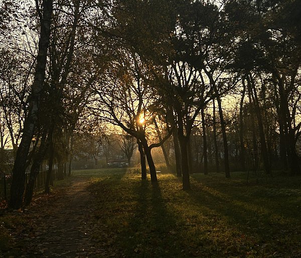 Nadchodzi najkrótszy dzień w 2025 roku. Sprawdź, kiedy przypadnie-9852